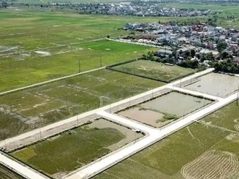 Vụ kế toán xã bị hủy 23 lô đất đấu giá: Yêu cầu họp kiểm điểm