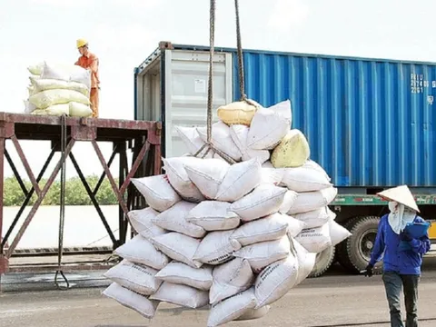 Giá gạo Việt Nam xuất khẩu tăng 9%, điểm sáng trong bức tranh xuất khẩu