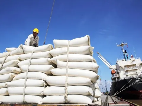 Một quốc gia hàng đầu xem xét cấm xuất khẩu gạo, ‘thiên thời’ cho gạo Việt Nam đang đến