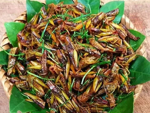 Người đàn ông nhập viện cấp cứu chỉ sau 30 phút ăn đặc sản này