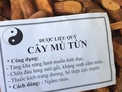 Uống nước nấu cây Mú từn, người đàn ông xuất hiện tình trạng loạn thần
