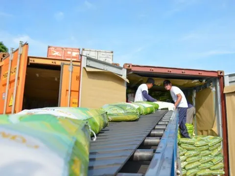 Thời cơ hiếm có của ngành gạo