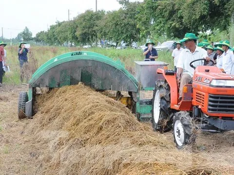 Mỗi năm Việt Nam có 47 triệu tấn rơm rạ phải 'biến thành tiền'
