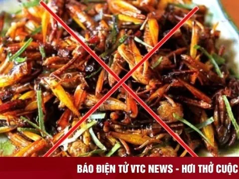 Ăn châu chấu rang, người đàn ông nhập viện khẩn