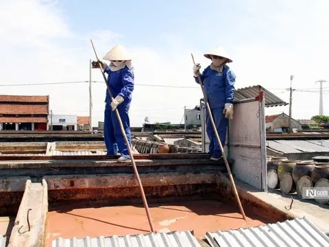 Hải Phòng: Giảm độ mặn cho nước mắm Cát Hải