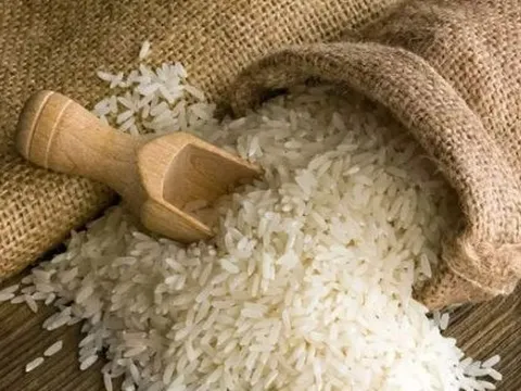 Xuất khẩu “hạt ngọc trời” liên tục lập đỉnh, lộ diện quốc gia châu Âu tăng nhập khẩu gạo Việt mạnh nhất trong nửa đầu năm, xuất khẩu tăng hơn 6.000%