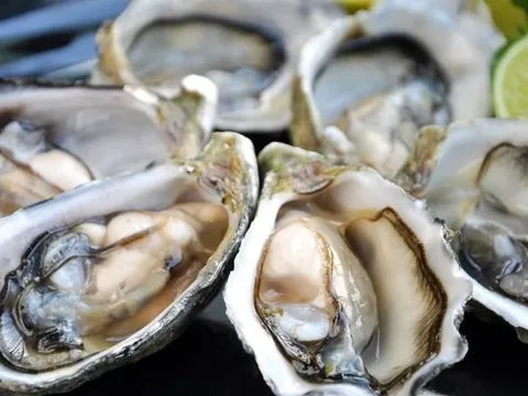 Người nước ngoài 'mê' hải sản quý của Việt Nam: một mặt hàng ghi nhận tăng hơn 900% về lượng, hơn 2.000% về giá trị