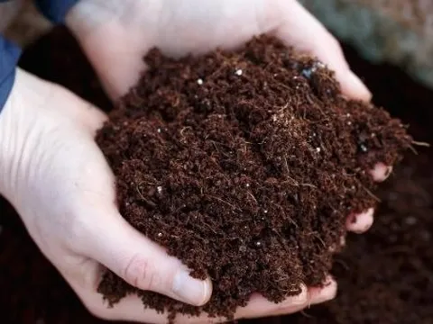 Một mặt hàng của Thái Lan đang đổ bộ vào Việt Nam: Nhập khẩu tăng hơn 500% trong nửa đầu năm, là mặt hàng cực quan trọng với nông sản Việt