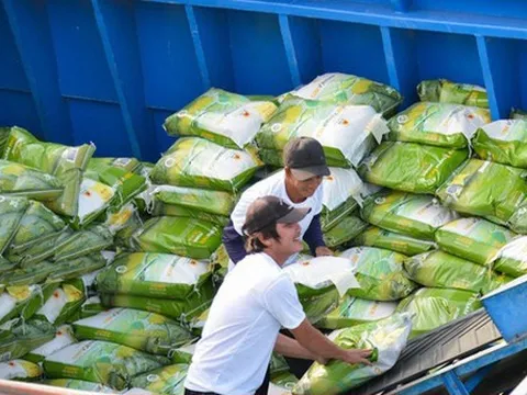 Giá gạo Việt xuất khẩu tiếp tục neo cao