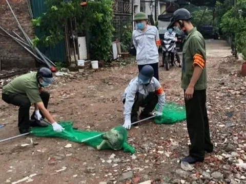 Cảnh báo bệnh dại gia tăng: Đừng để chết vì chủ quan