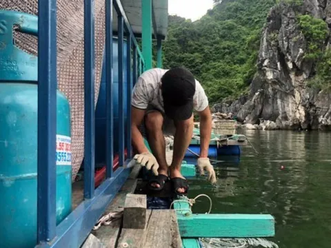 Ứng phó bão số 1: Hải Phòng cấm biển, Cô Tô đưa hơn 10.000 du khách vào bờ