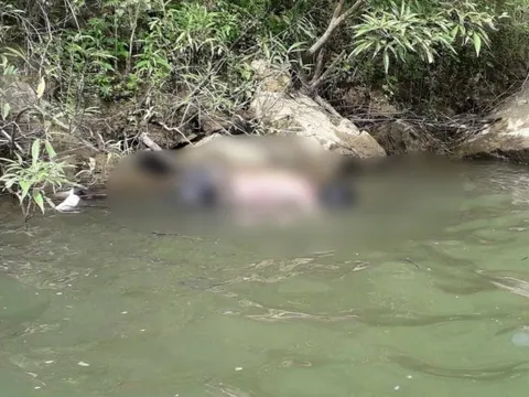 Phát hiện 2 thi thể tại tỉnh Quảng Nam