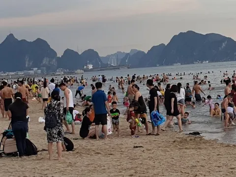 Xác minh vụ du khách bị đánh "hội đồng" tại Bãi Cháy