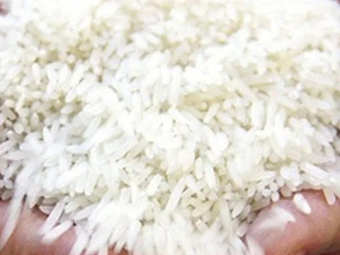 Gạo Việt Nam có mặt ở nhiều thị trường khó tính