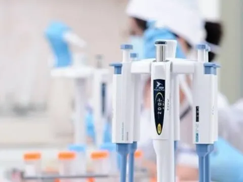 Người phụ nữ sốc khi biết thai trong bụng là con chồng, không phải con mình