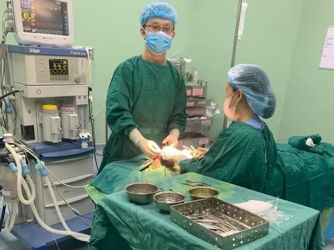 Đang ngồi chơi trước nhà, bé 5 tuổi bị con chó lạ cắn rách mặt