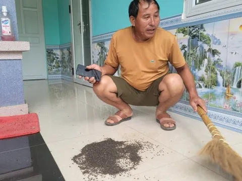 Vụ dân bị ruồi bủa vây: Công ty không cung cấp hồ sơ bảo vệ môi trường