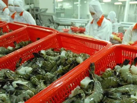 Việt Nam là nước xuất khẩu tôm lớn thứ hai thế giới