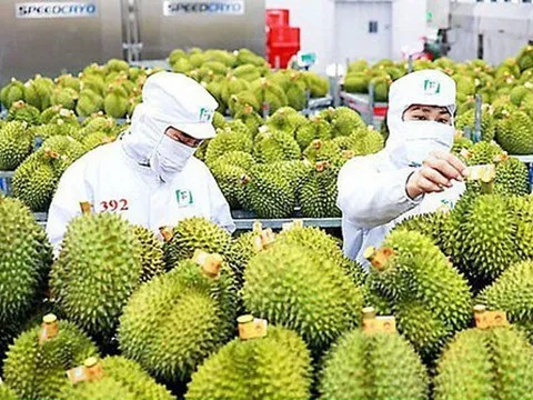 Tạm dừng sử dụng mã số vùng trồng lô hàng vi phạm kiểm dịch của Trung Quốc