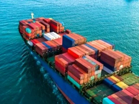 Khẩn trương ngăn chặn 1 container hoa hồi đang vận chuyển đến địa điểm lừa đảo tại Dubai