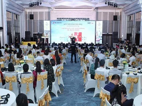 Nhân sâm chính thống Hàn Quốc kết nối giao thương với Việt Nam