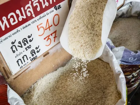 Ấn Độ cấm xuất khẩu gạo: Gạo Việt Nam tăng giá, một nước láng giềng lo lắng