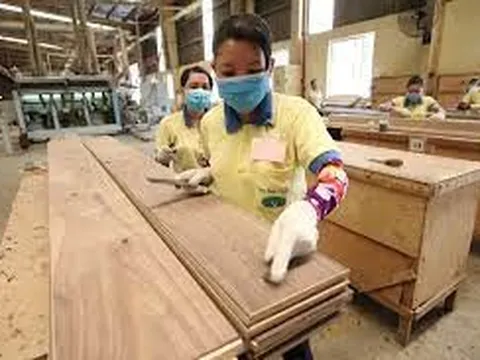 Đơn hàng xuất khẩu của ngành gỗ bắt đầu quay trở lại