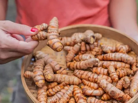 Loại củ giá rẻ bèo nhưng lại là “vàng” sức khỏe được cả thế giới công nhận