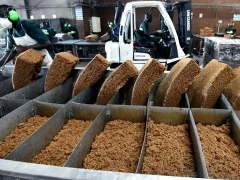 Xuất khẩu một mặt hàng sang Nga bất ngờ tăng hơn 1.000% trong tháng 6: Sản lượng của Việt Nam gấp 10 lần quốc gia này, đứng top 3 thế giới