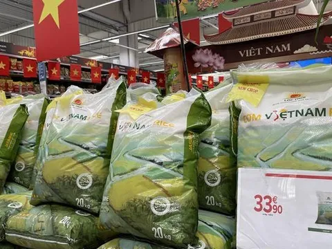 Giá gạo xuất khẩu từ Việt Nam, Thái Lan cao nhất trong hơn một thập kỷ