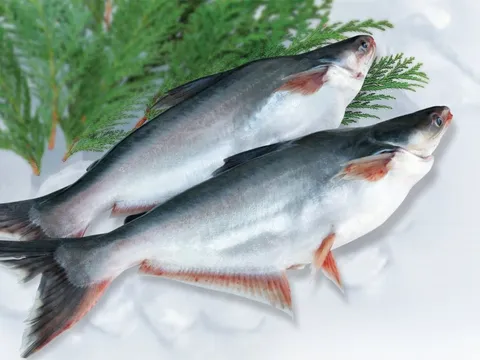 6 tháng "buồn" của Vĩnh Hoàn: Lợi nhuận giảm một nửa, đầu tư cổ phiếu NLG, DXS, KBC lỗ 51 tỷ đồng