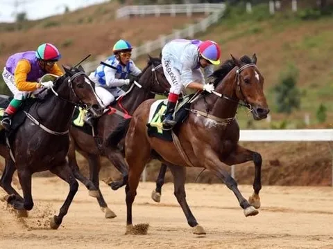 Giữa cuộc chiến gói thầu 35.000 tỷ: Hòa Bình lãi đột biến nhờ bán tài sản, LN Coteccons tăng "sốc" vẫn xếp sau Ricons, Vinaconex lặng lẽ đứng số 1