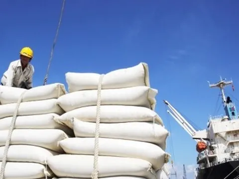 Ấn Độ tiếp tục cấm xuất khẩu cám gạo