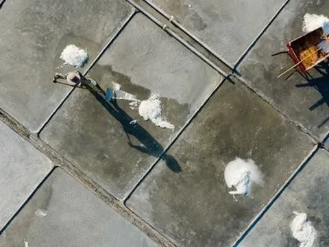 Ảnh: Dưới cánh đồng "trắng", trời càng nắng diêm dân càng phấn khởi