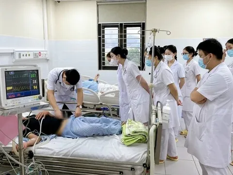 Suy đa tạng do bị mò đốt