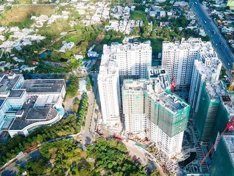 Lý do Ricons kiện nhà thầu lớn nhất Việt Nam, yêu cầu mở thủ tục phá sản