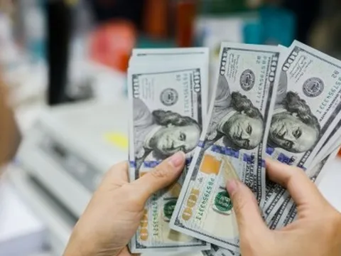 'Núi tiền' của nhóm doanh nghiệp vốn hóa tỷ USD