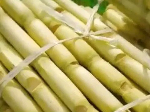 Mía tươi Việt Nam được nhiều thị trường đón nhận