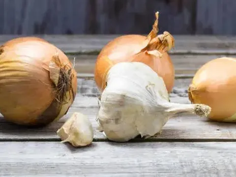 Nghiên cứu chỉ ra 5 thực phẩm bảo vệ sức khỏe đường ruột, chuyên gia lưu ý hữu ích, nhưng đừng lạm dụng!