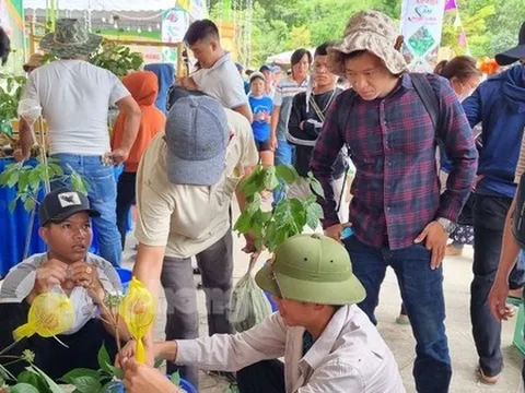 Tận thấy phiên chợ tiền tỷ của các 'đại gia'