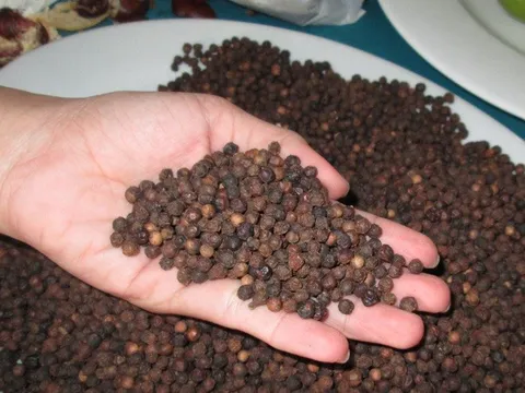 Nguy cơ mất lô hàng hơn nửa triệu USD khi xuất vào UAE, Thủ tướng chỉ đạo "khẩn"