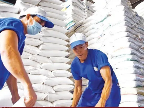 Giá gạo có thể tiếp tục tăng