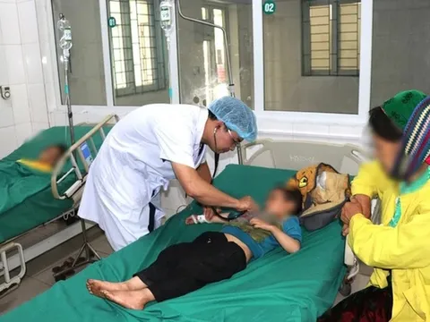 Vụ ngộ độc quả hồng châu: Một trẻ tử vong, chuyển 3 trẻ về Bệnh viện Nhi Trung ương