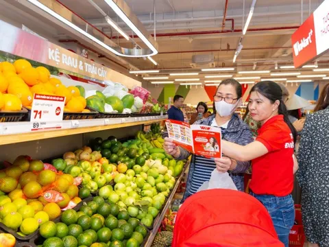 Chuyển đổi WinMart và WinMart+ sang 3 mô hình Premium - Urban – Rural, doanh thu tăng 2 chữ số