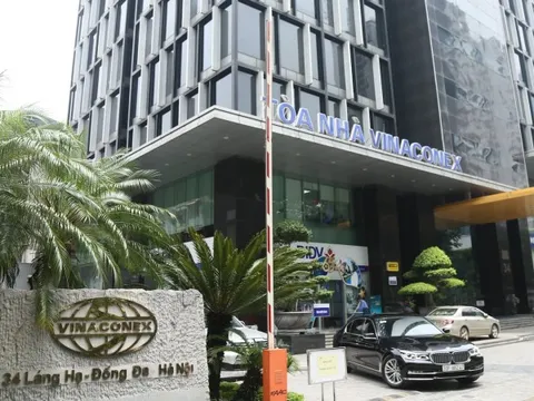 Liên tục rút bớt vốn, nhóm ông Đào Ngọc Thanh và Nguyễn Xuân Đông lỗ lãi thế nào sau 5 năm mạnh tay chi 7.400 tỷ để có được Vinaconex với mức giá đắt đỏ?