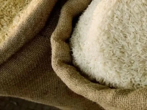 Dự trữ gạo Ấn Độ đang cao gấp 3 lần mục tiêu