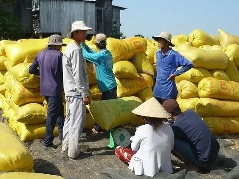 Bộ Công Thương: Tránh mua gom gạo ồ ạt, đẩy giá trong nước tăng bất hợp lý