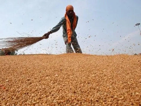 Sau dầu thô và khí đốt, Nga bất ngờ tuyên bố cung cấp thêm một mặt hàng giá rẻ cho các quốc gia “thân thiện”, là mặt hàng Nga xuất khẩu đứng đầu thế giới