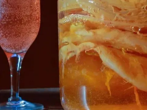 Loại trà là thuốc hạ đường huyết tự nhiên, có sẵn nhưng ít người dùng