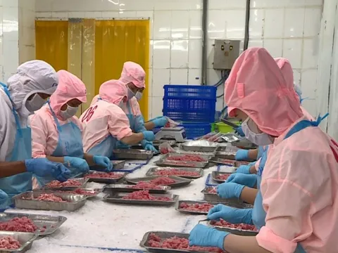 Nhật Bản là nhà nhập khẩu thủy sản số 1 của Việt Nam quý II/2023